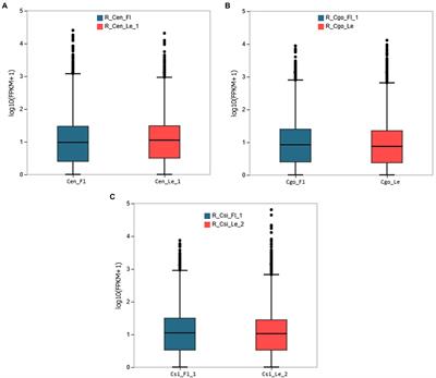 Beauty and the pathogens: A leaf-less control presents a better image of Cymbidium orchids defense strategy